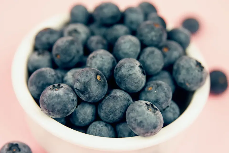 A small bowl of fresh blueberries beside a resting dog's paw on a wood floor