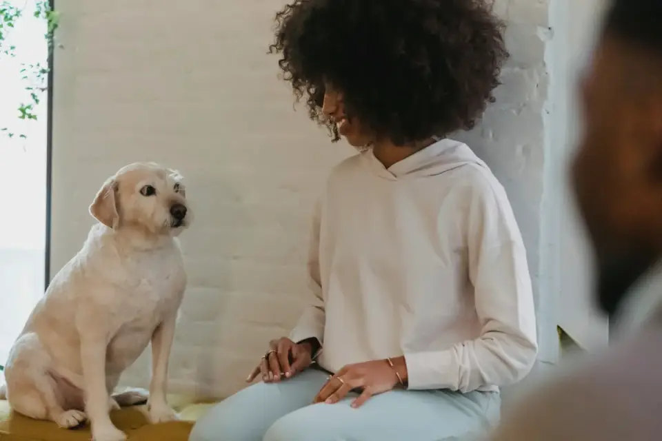 A veterinarian reviewing bloodwork results with a dog owner in an exam room
