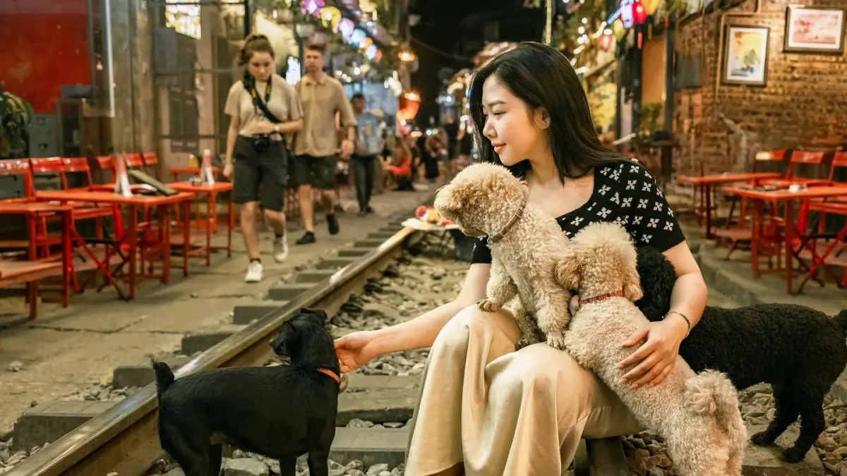 Dog at an outdoor cafe