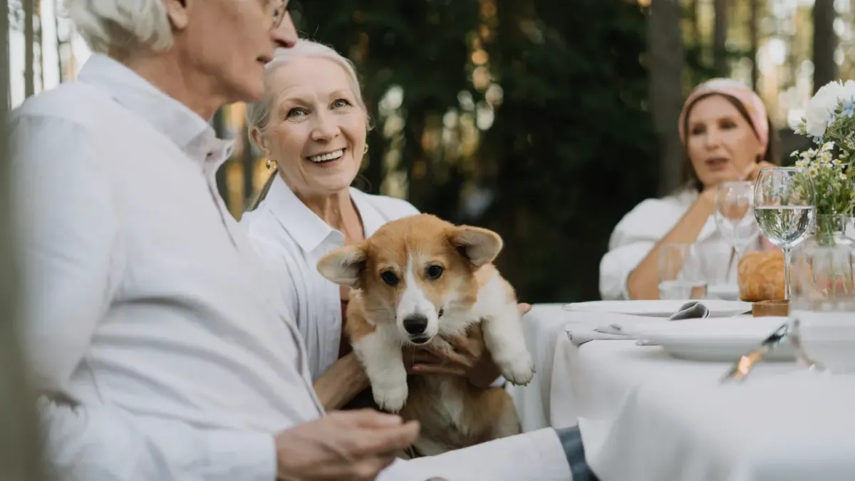 Dog at an outdoor cafe