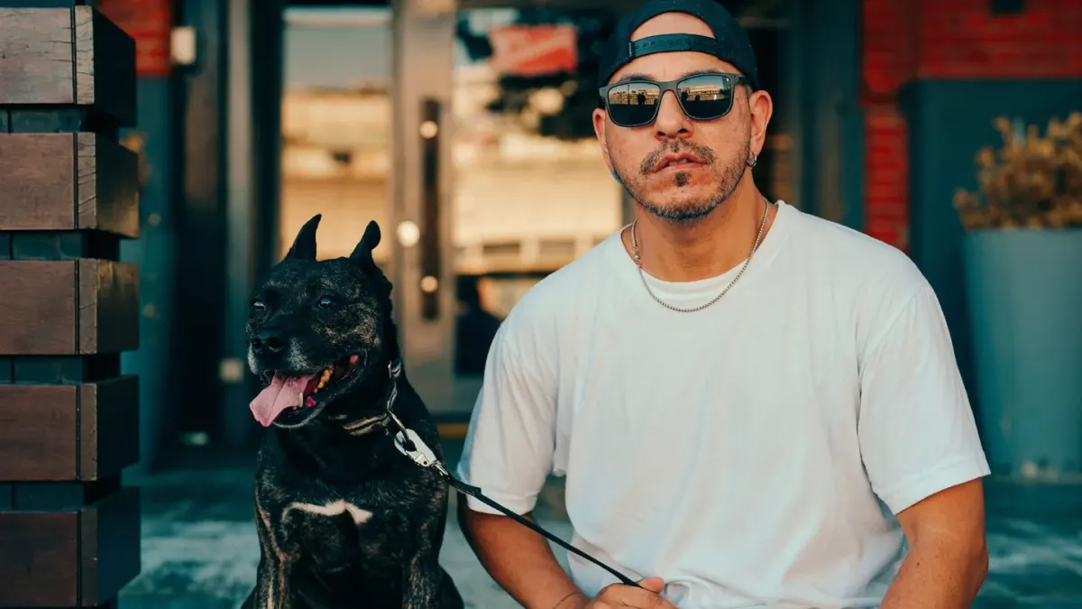 Dog at outdoor cafe with owner