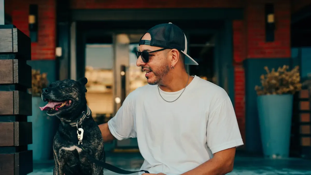 Dog at outdoor cafe with owner