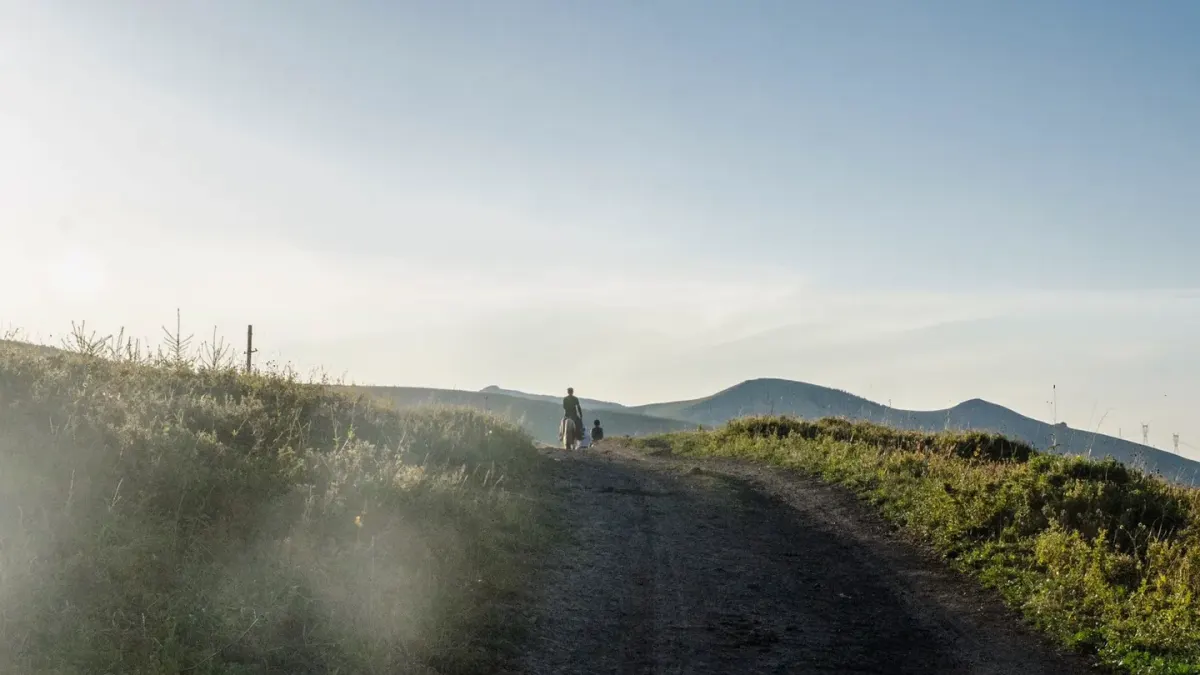 Dog beside a cycling path