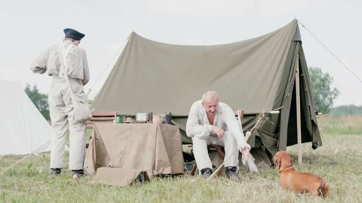 Dog camping with an owner