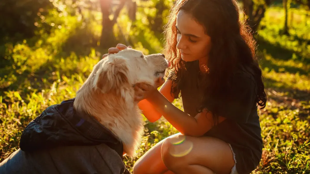 Dog camping with an owner