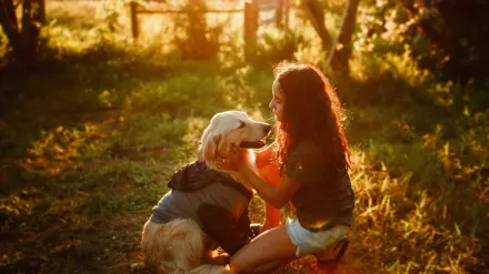 Dog camping with an owner