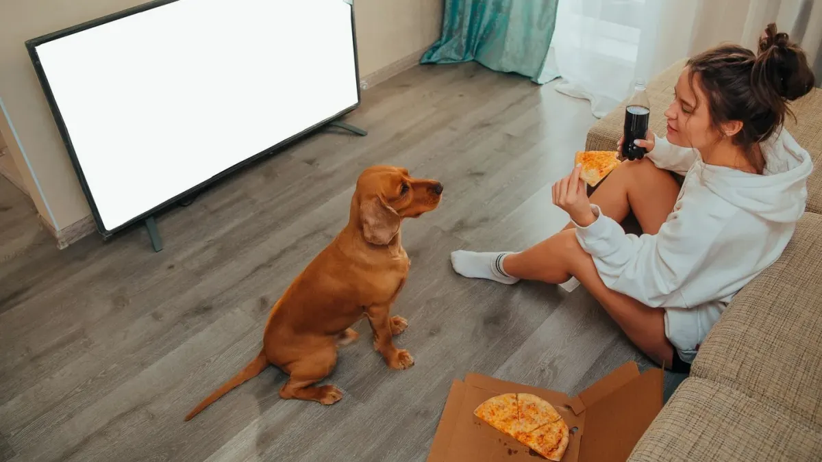 Dog eating from a bowl at home