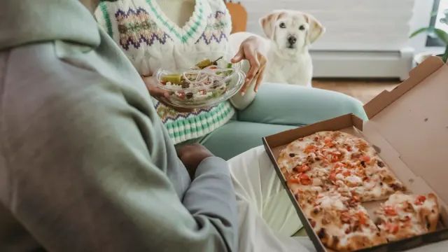 Dog eating from a bowl