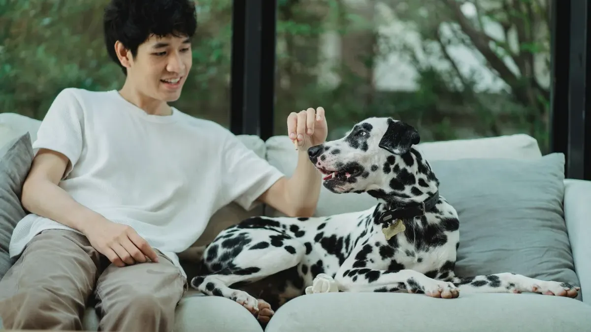 Dog eating from bowl at home