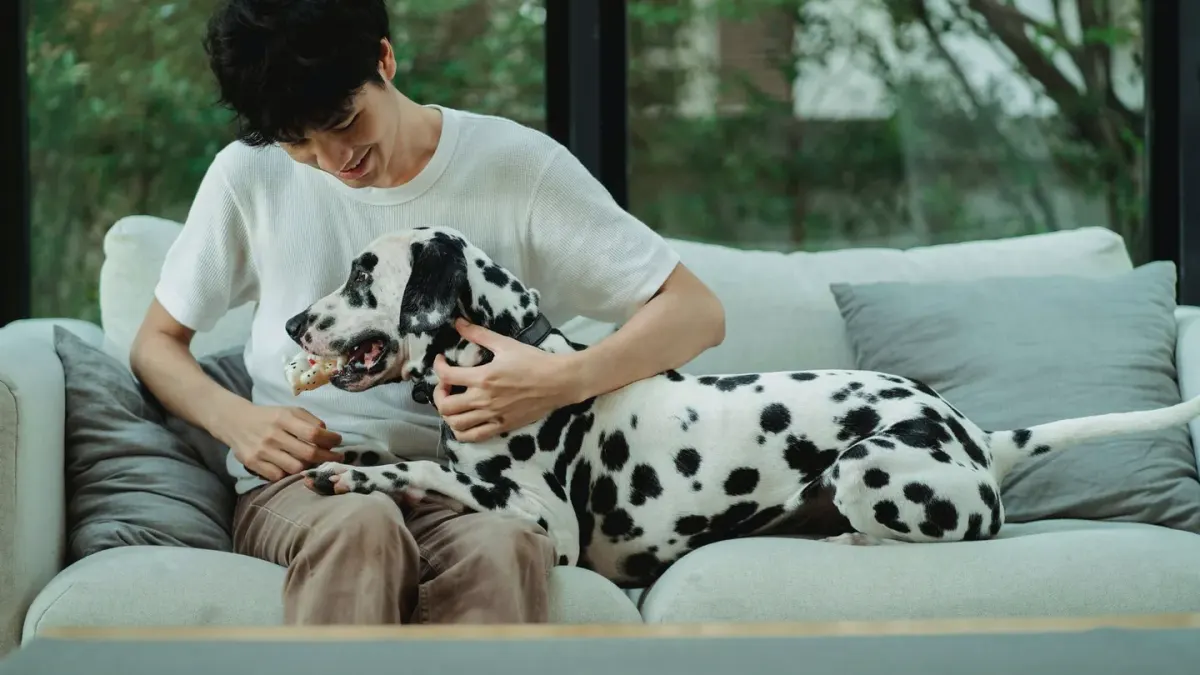 Dog eating from bowl at home