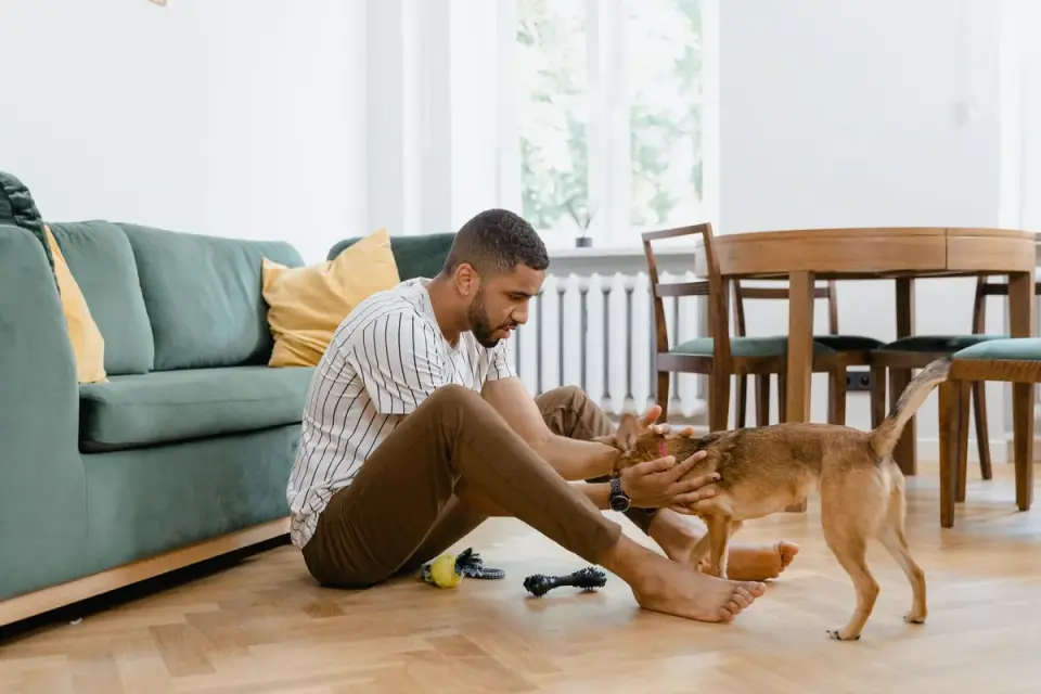 Dog eating from bowl at home