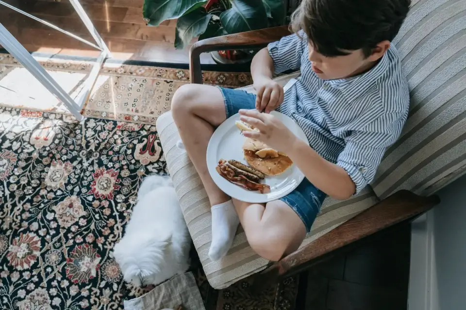 Dog eating from bowl at home
