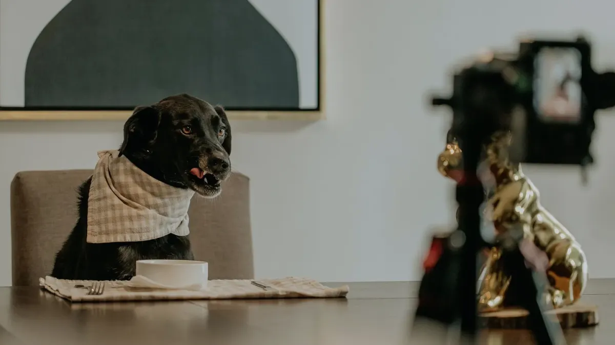 Dog eating from bowl at home