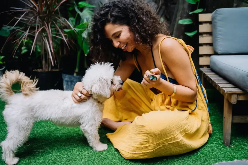 Dog eating outdoors bowl