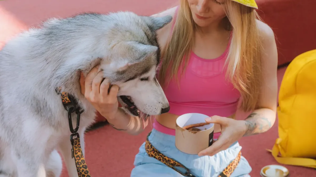 Dog eating outdoors bowl