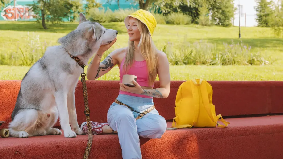 Dog eating outdoors bowl