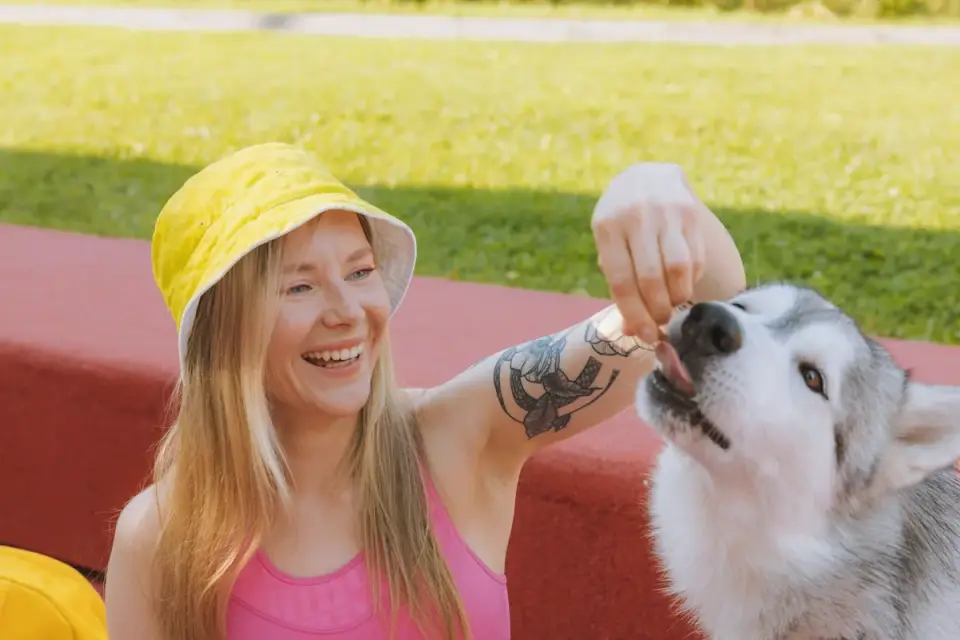 Dog eating outdoors bowl