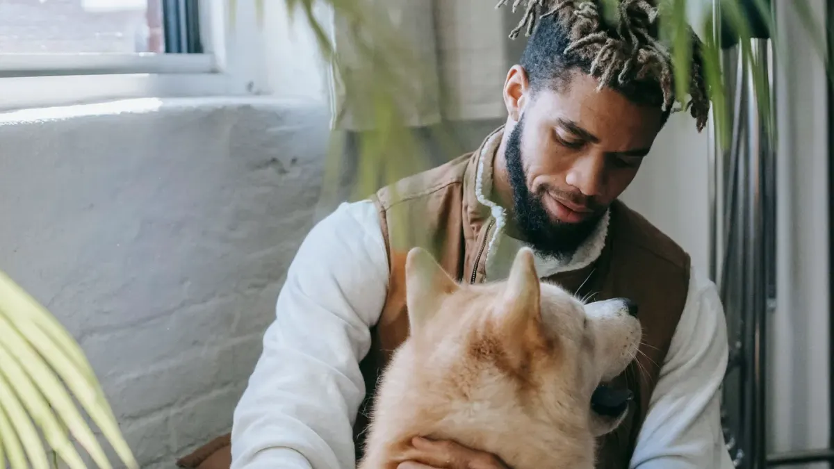 Dog in a kitchen with an owner
