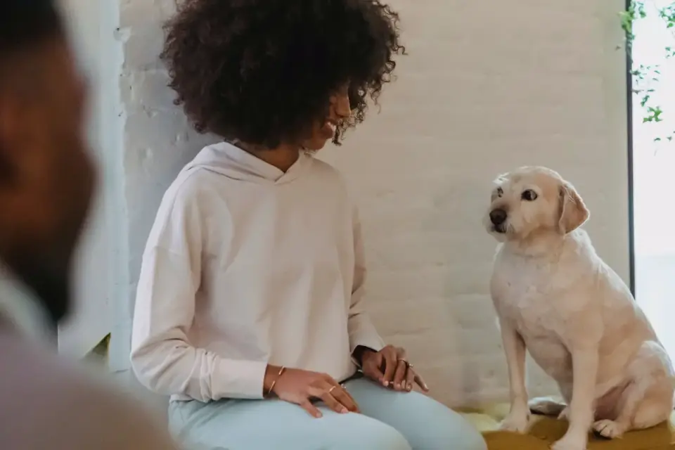 Dog in a kitchen with an owner