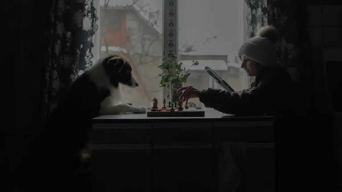 Dog in kitchen with owner