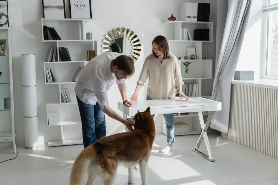 Dog in kitchen with owner