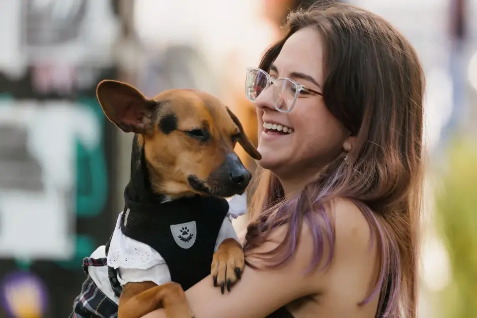 Dog in kitchen with owner