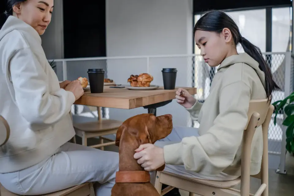 Dog in kitchen with owner