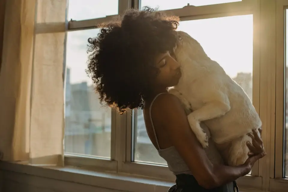 Dog in kitchen with owner