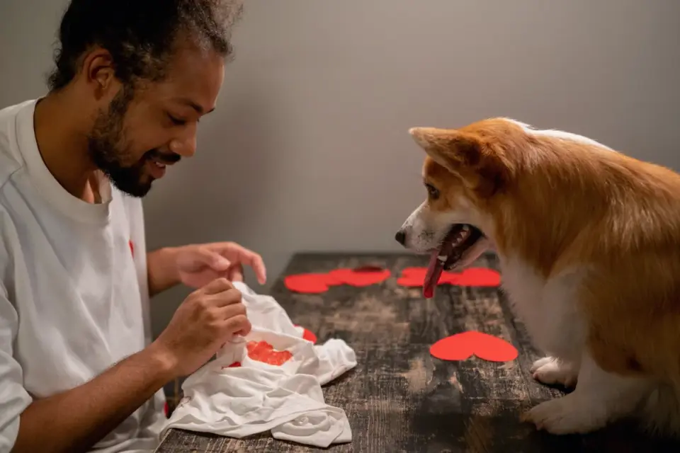 Dog in kitchen with owner