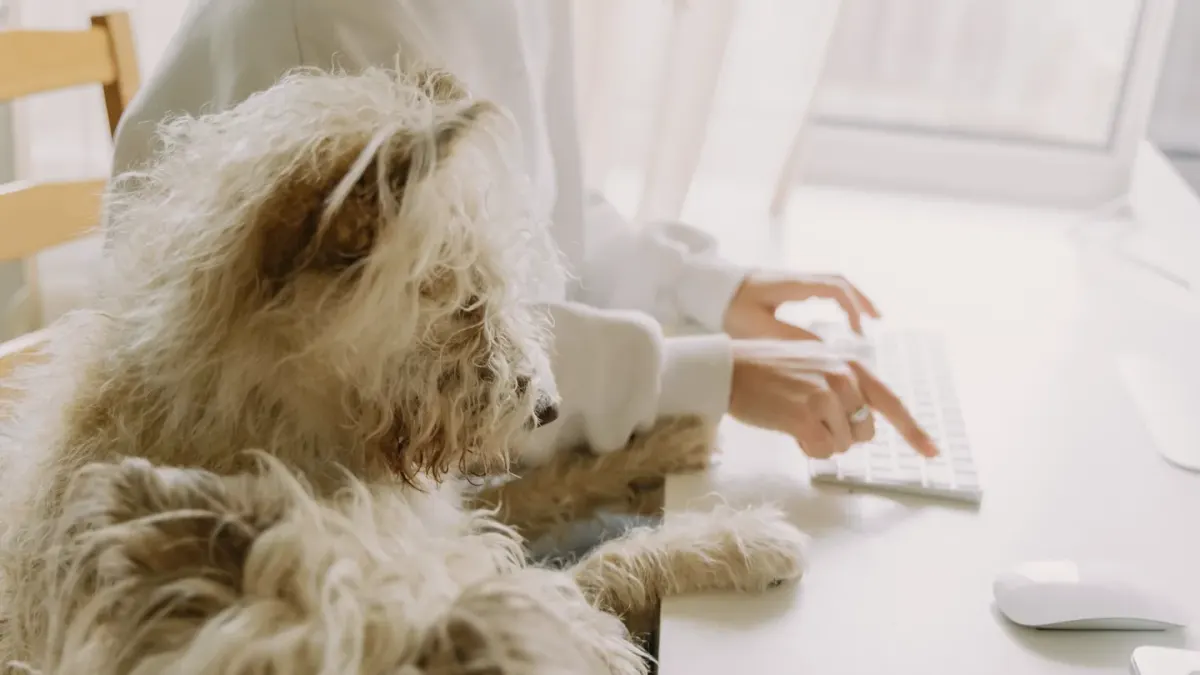 Dog in kitchen with owner