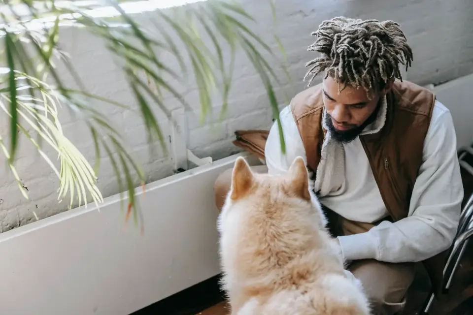 Dog in kitchen with owner