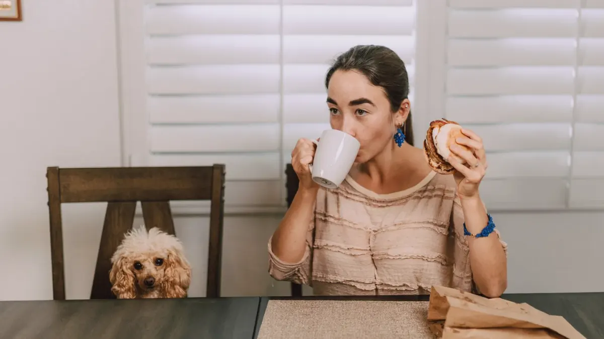 Dog in kitchen with owner
