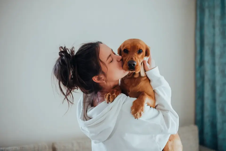 Dog in kitchen with owner