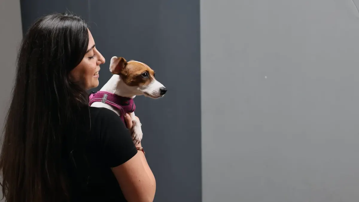 Dog in kitchen with owner