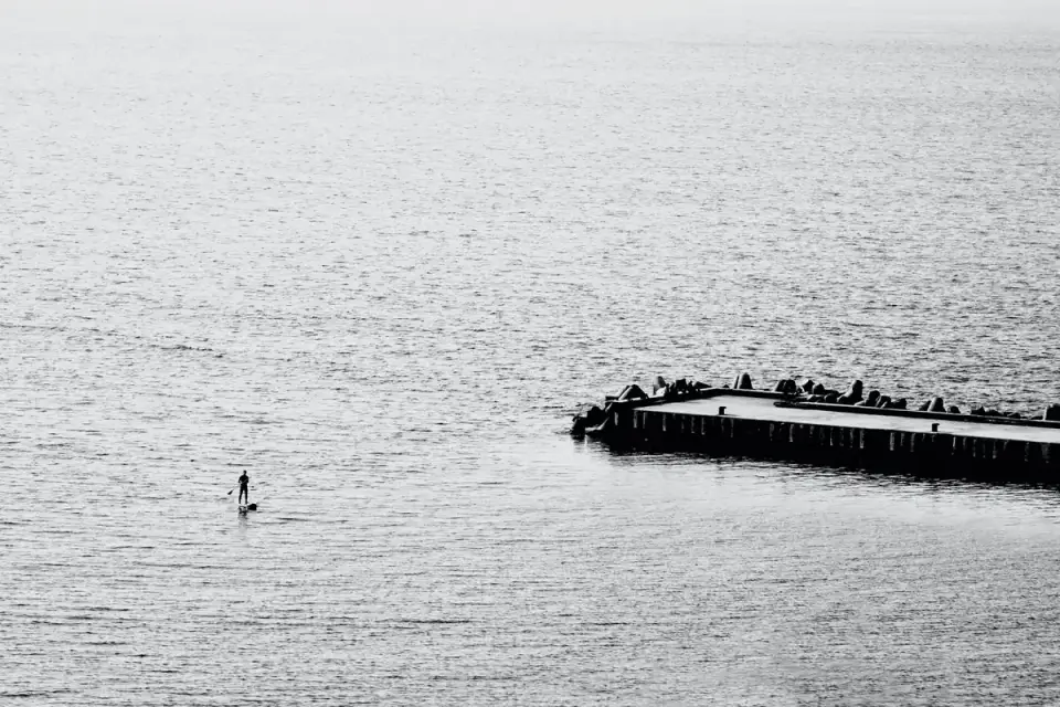Dog on a paddleboard