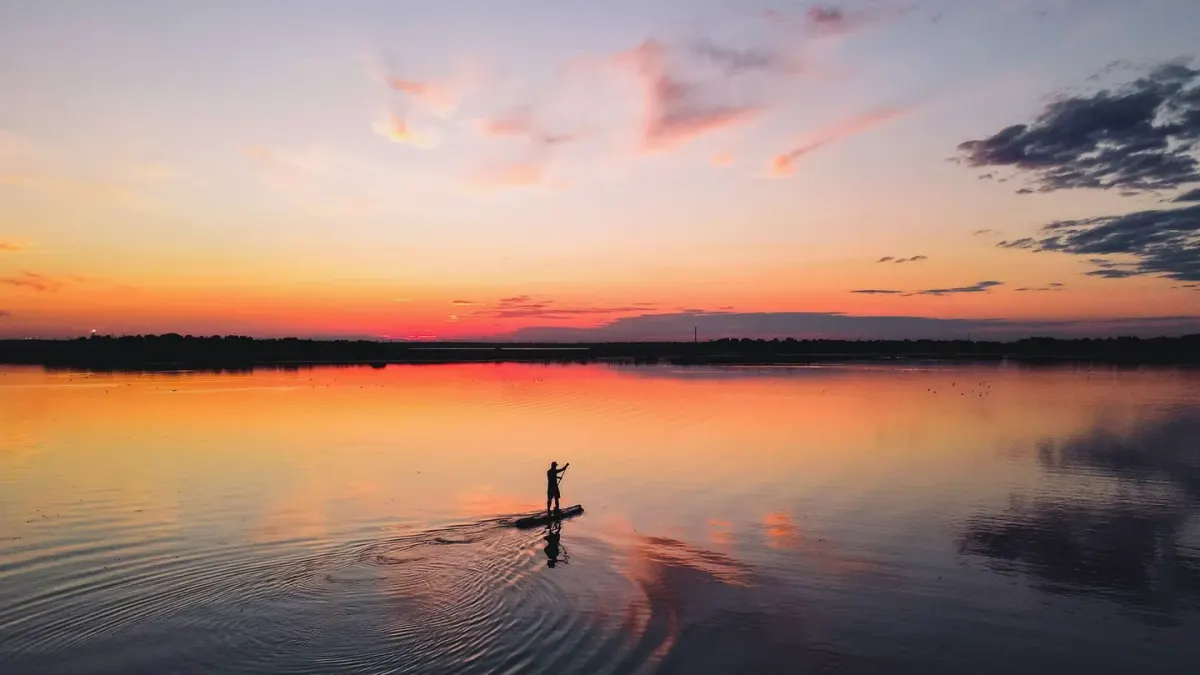 Dog on a paddleboard