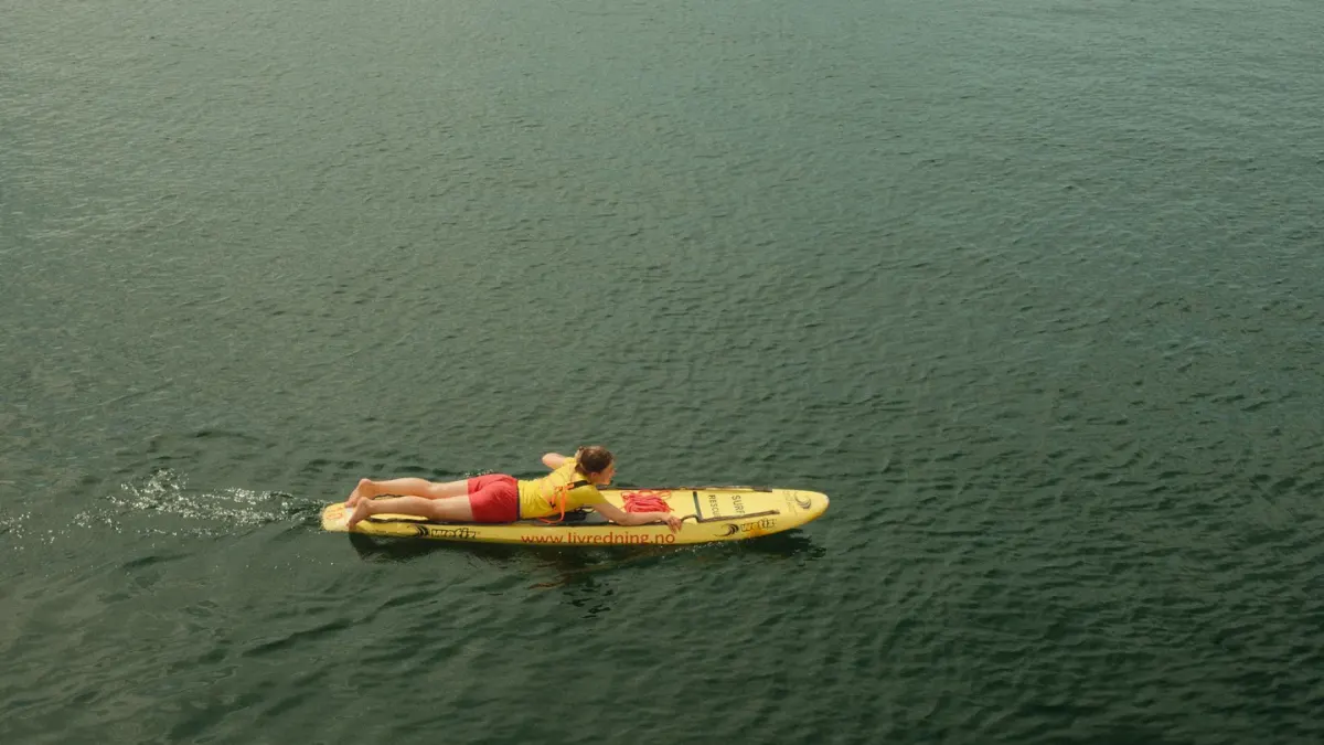Dog on paddleboard water