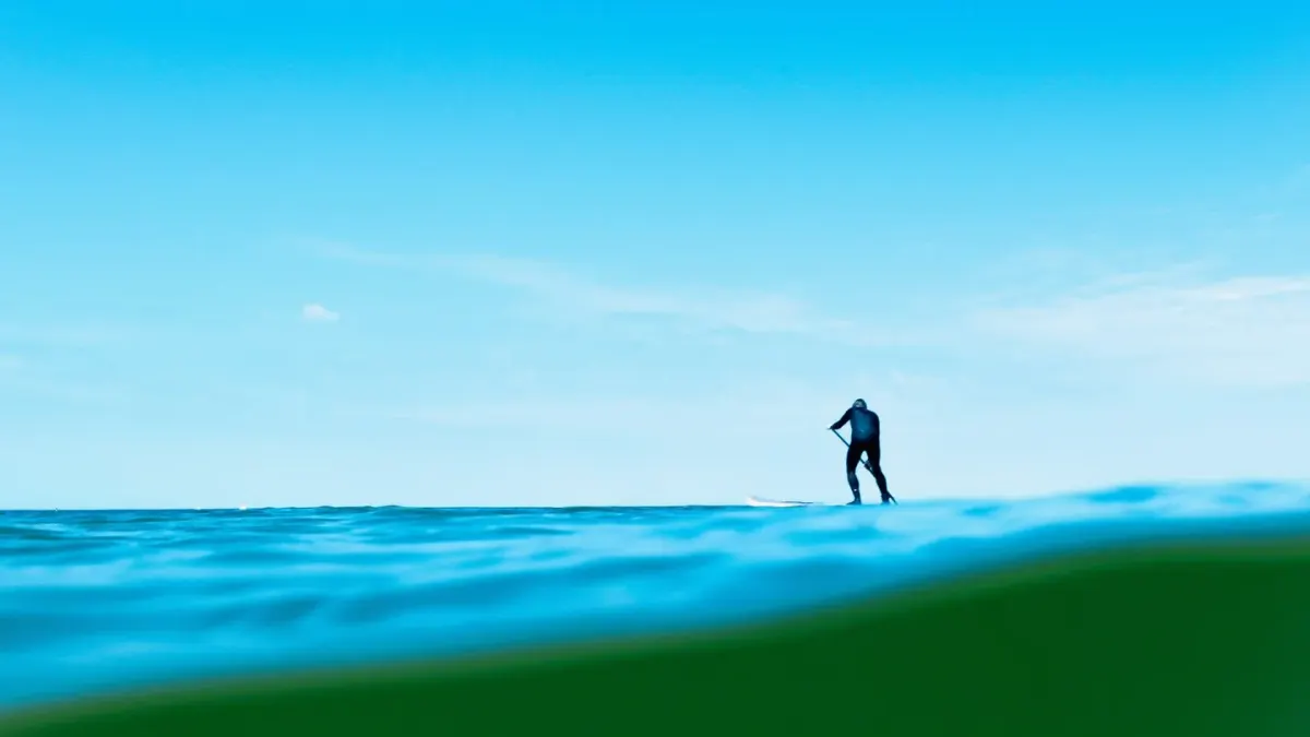 Dog on paddleboard water