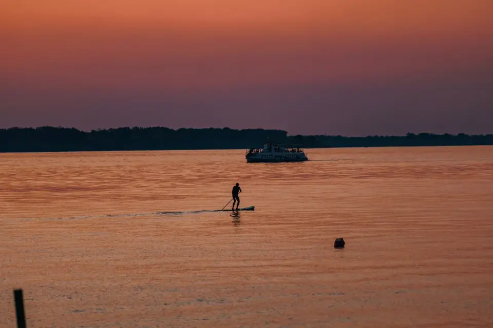 Dog on paddleboard water