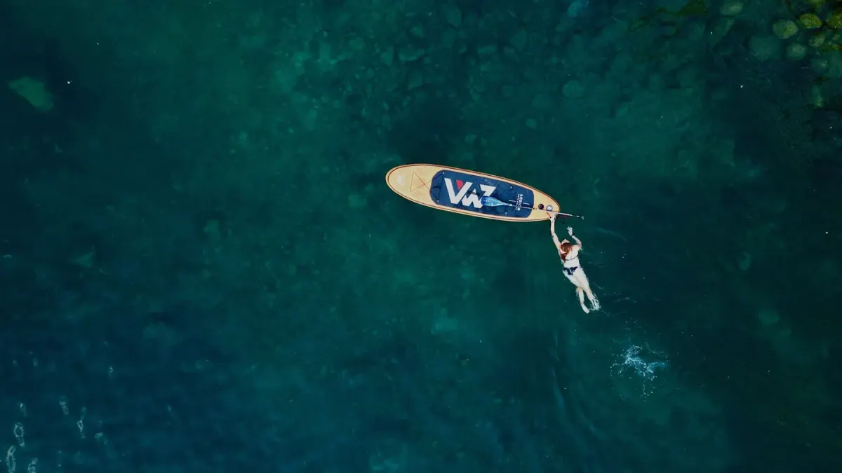 Dog on paddleboard water