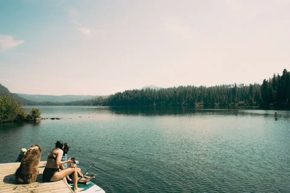 Dog on paddleboard water