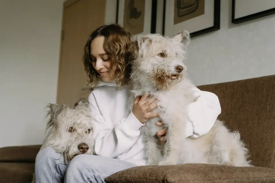 Dog owner at home