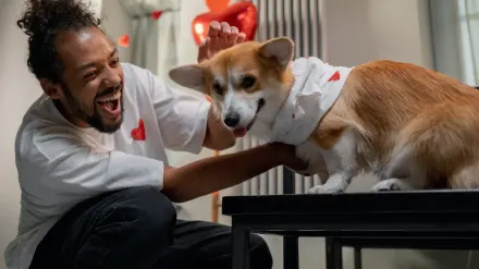 Dog owner at home