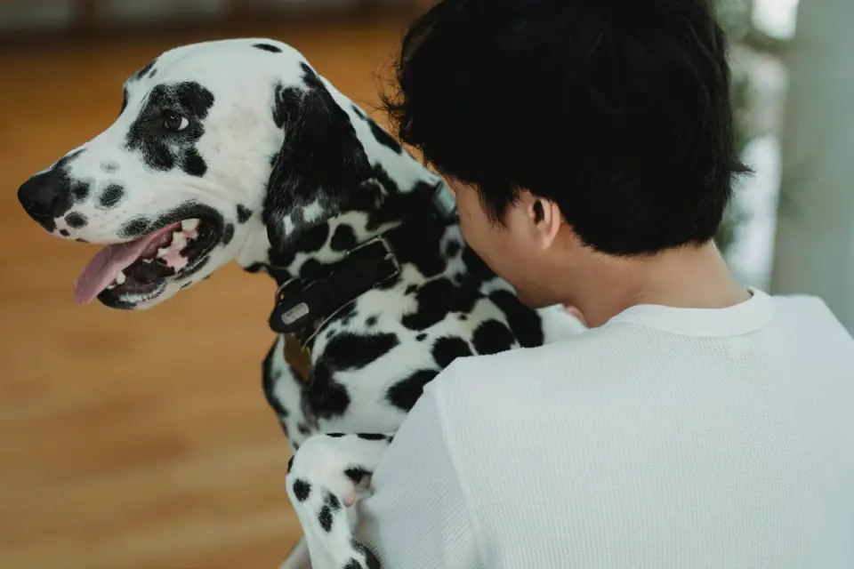 Dog owner at home