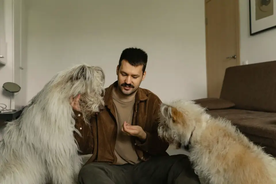 Dog owner preparing a meal