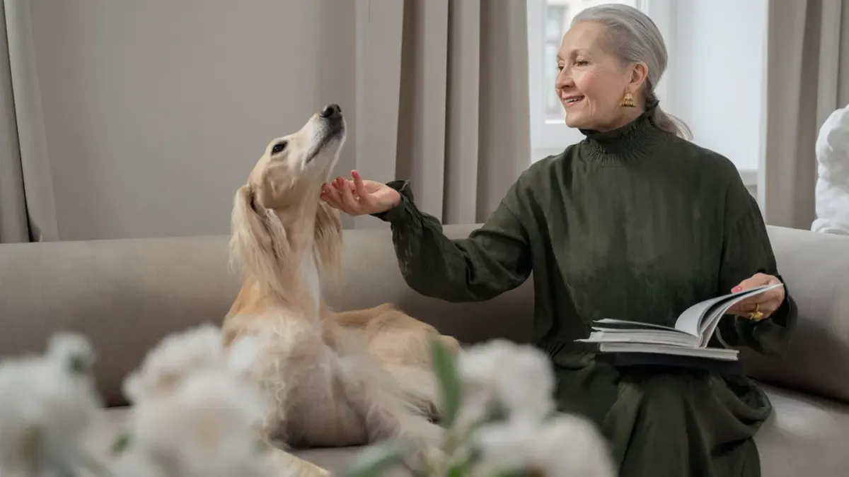 Dog resting beside an owner