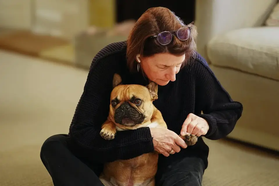 Dog resting beside an owner