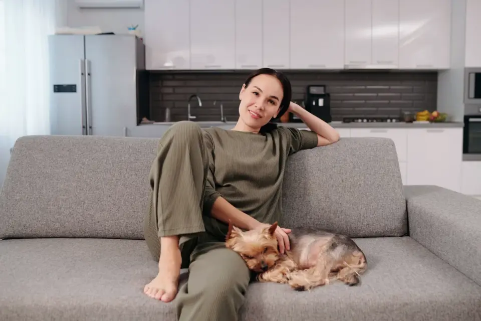 Dog resting beside an owner