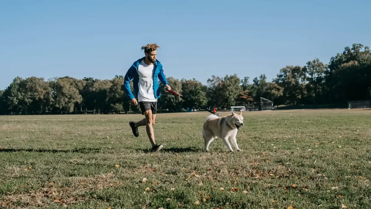 Dog running with an owner