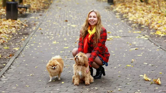 Dog walking with an owner
